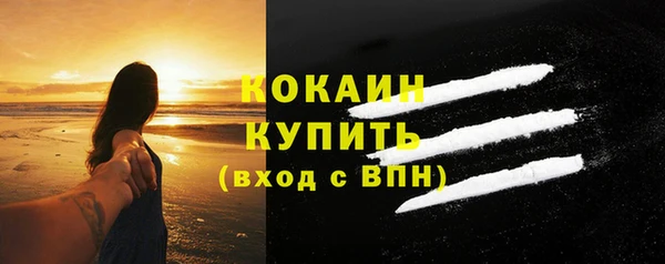ГАЛЛЮЦИНОГЕННЫЕ ГРИБЫ Богданович