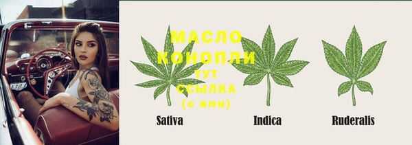 ГАЛЛЮЦИНОГЕННЫЕ ГРИБЫ Богданович