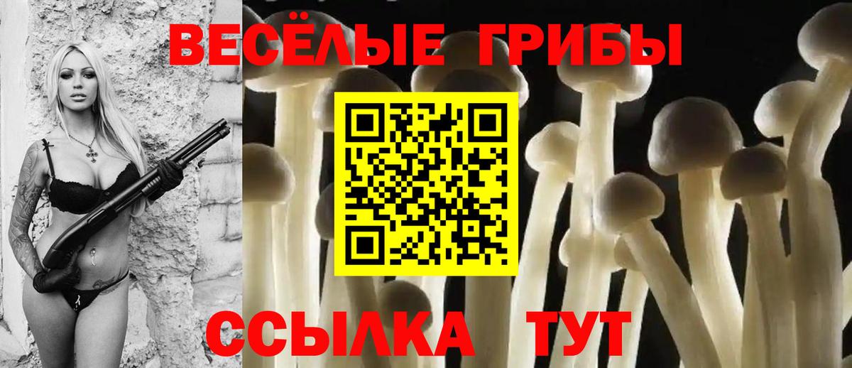 Галлюциногенные грибы мухоморы  Вход с VPN  Дагестанские Огни 