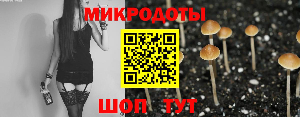 Псилоцибиновые грибы GOLDEN TEACHER Дагестанские Огни